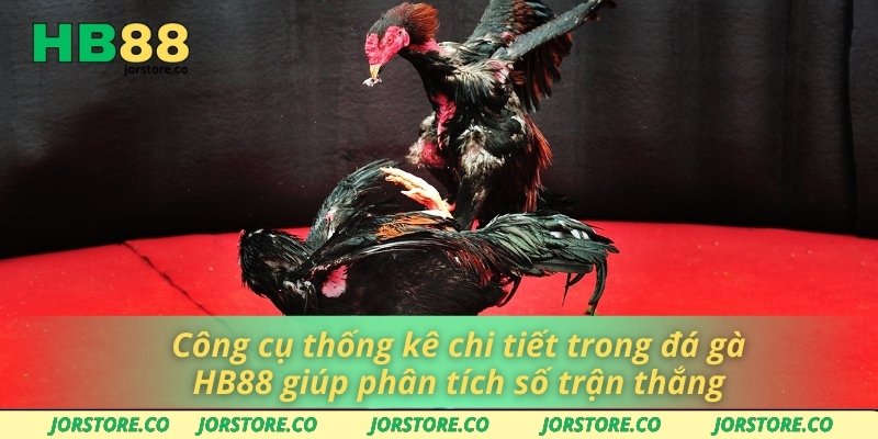 Đá Gà HB88 Công cụ thống kê chi tiết trong đá gà HB88 giúp phân tích số trận thắng