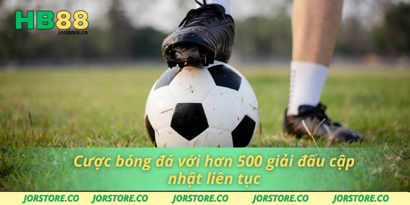 Cược bóng đá với hơn 500 giải đấu cập nhật liên tục