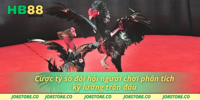 Cược tỷ số đòi hỏi người chơi phân tích kỹ lưỡng trận đấu