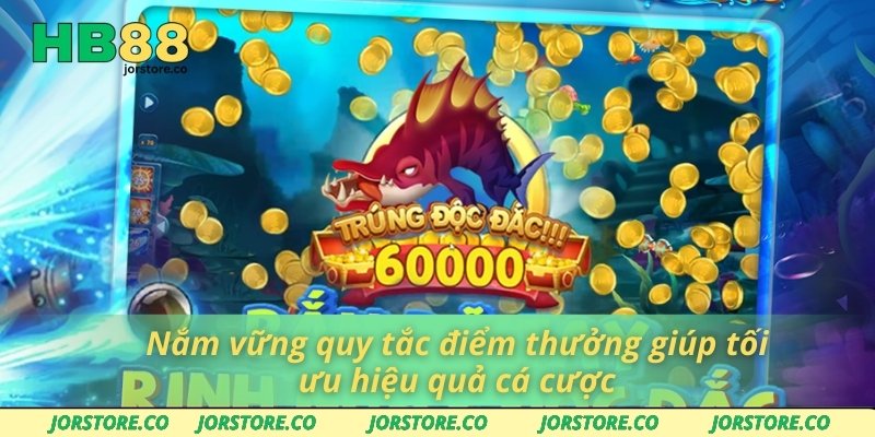 Nắm vững quy tắc điểm thưởng giúp tối ưu hiệu quả cá cược