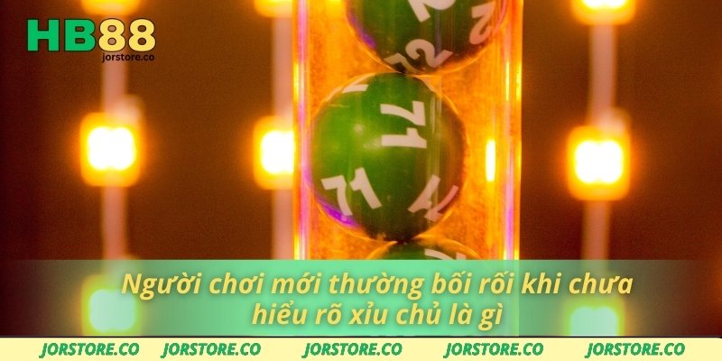 Người chơi mới thường bối rối khi chưa hiểu rõ xỉu chủ là gì