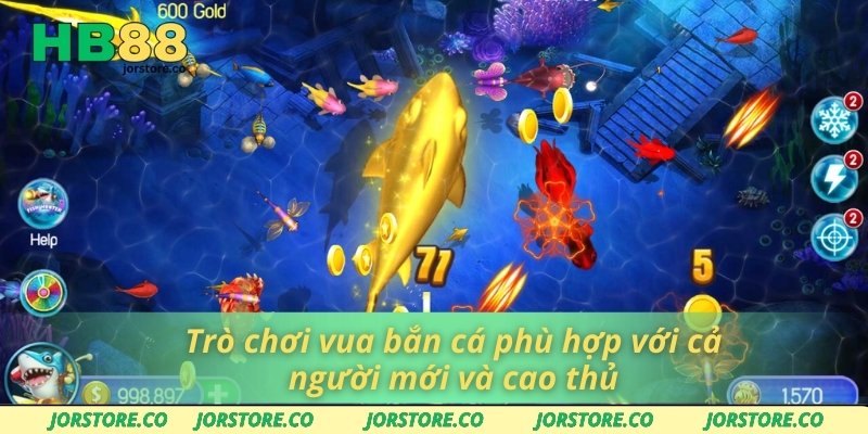 Trò chơi vua bắn cá phù hợp với cả người mới và cao thủ